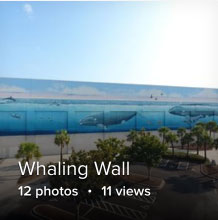 Whaling Wall